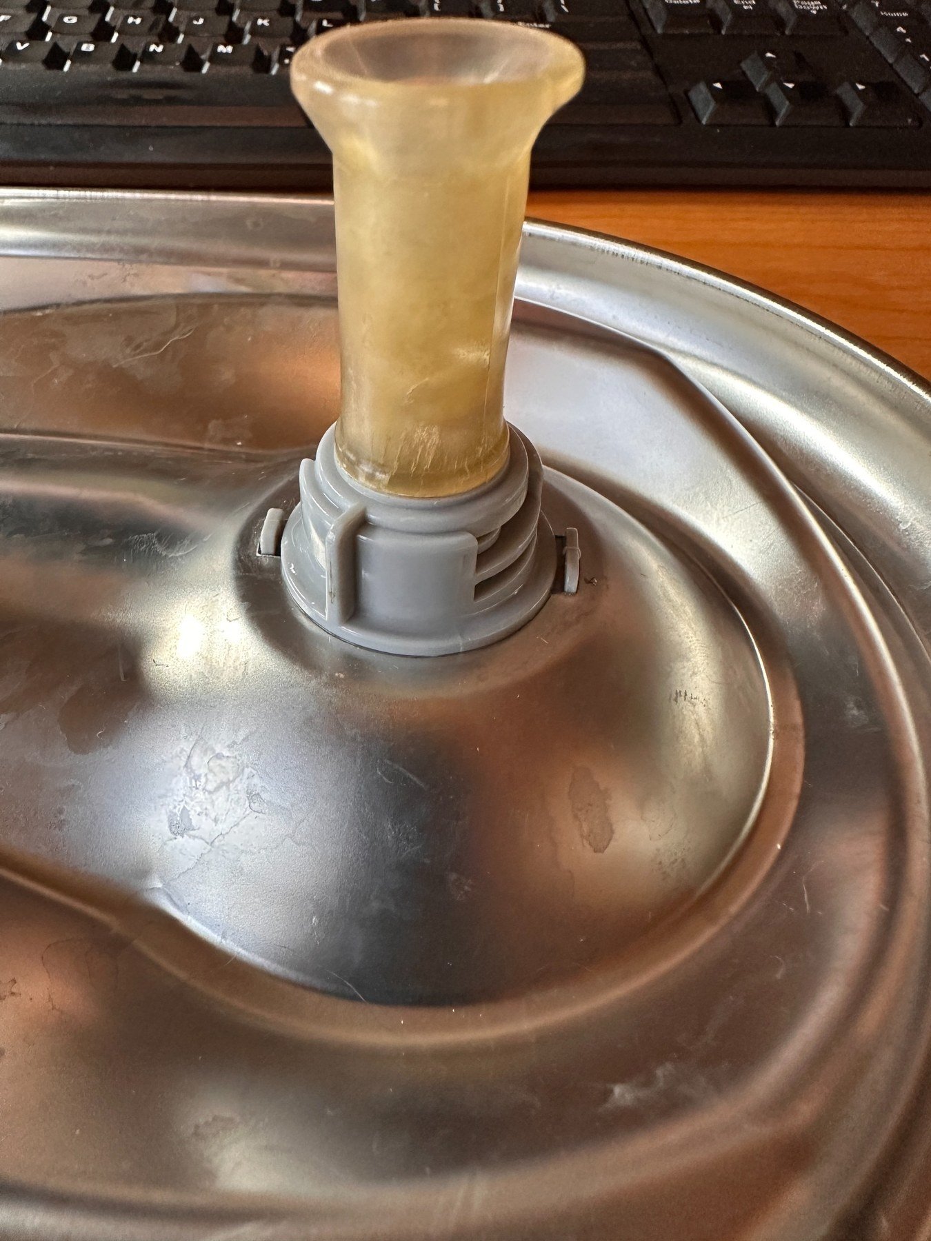 Translucent stem fully seated against the shoulder of the gray dispenser fitting