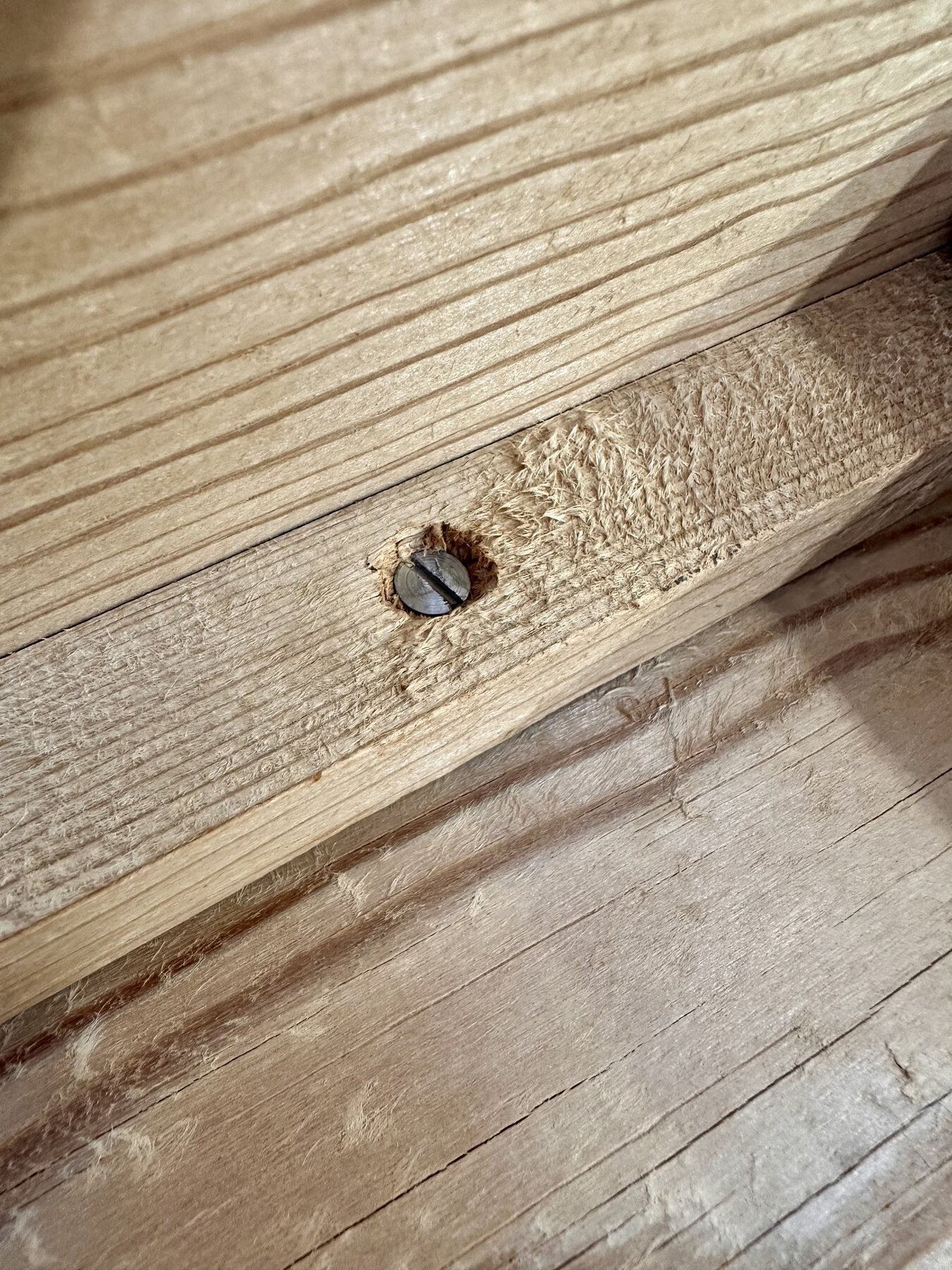 Extreme close-up of an old slotted flathead screw in an unfinished wooden rail