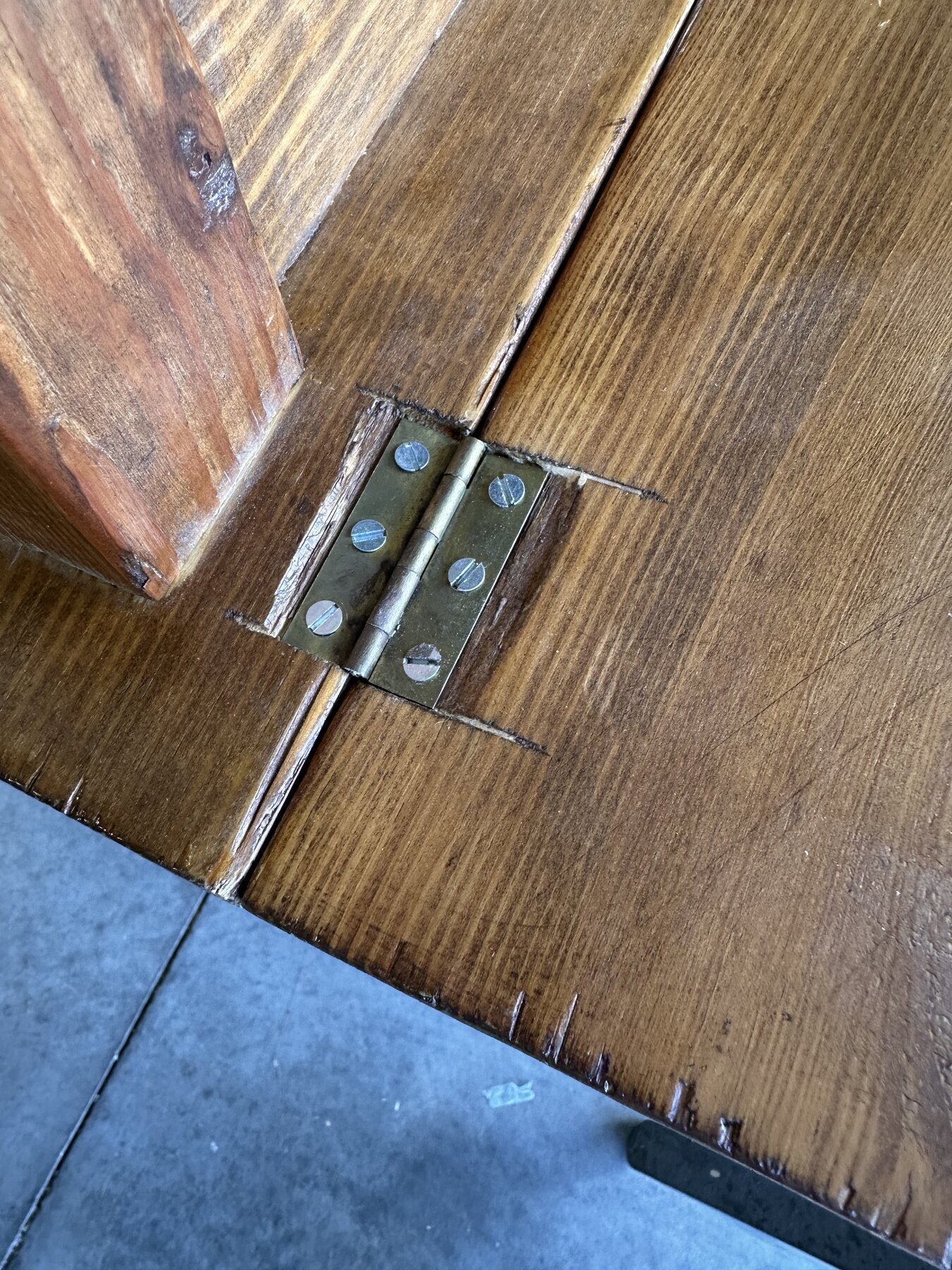 Close-up of a recessed brass-colored drop-leaf hinge secured with six slotted screws