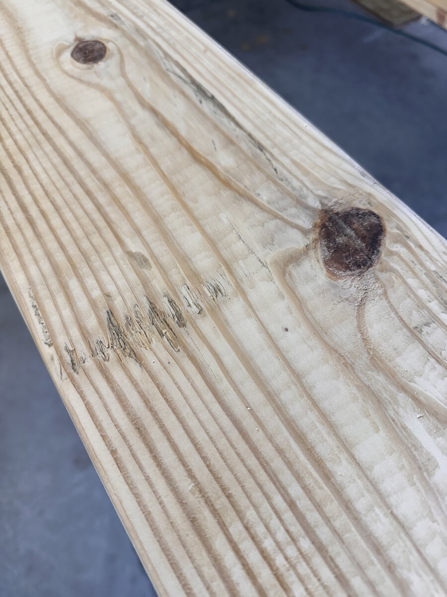 Close view of a knot in the pine