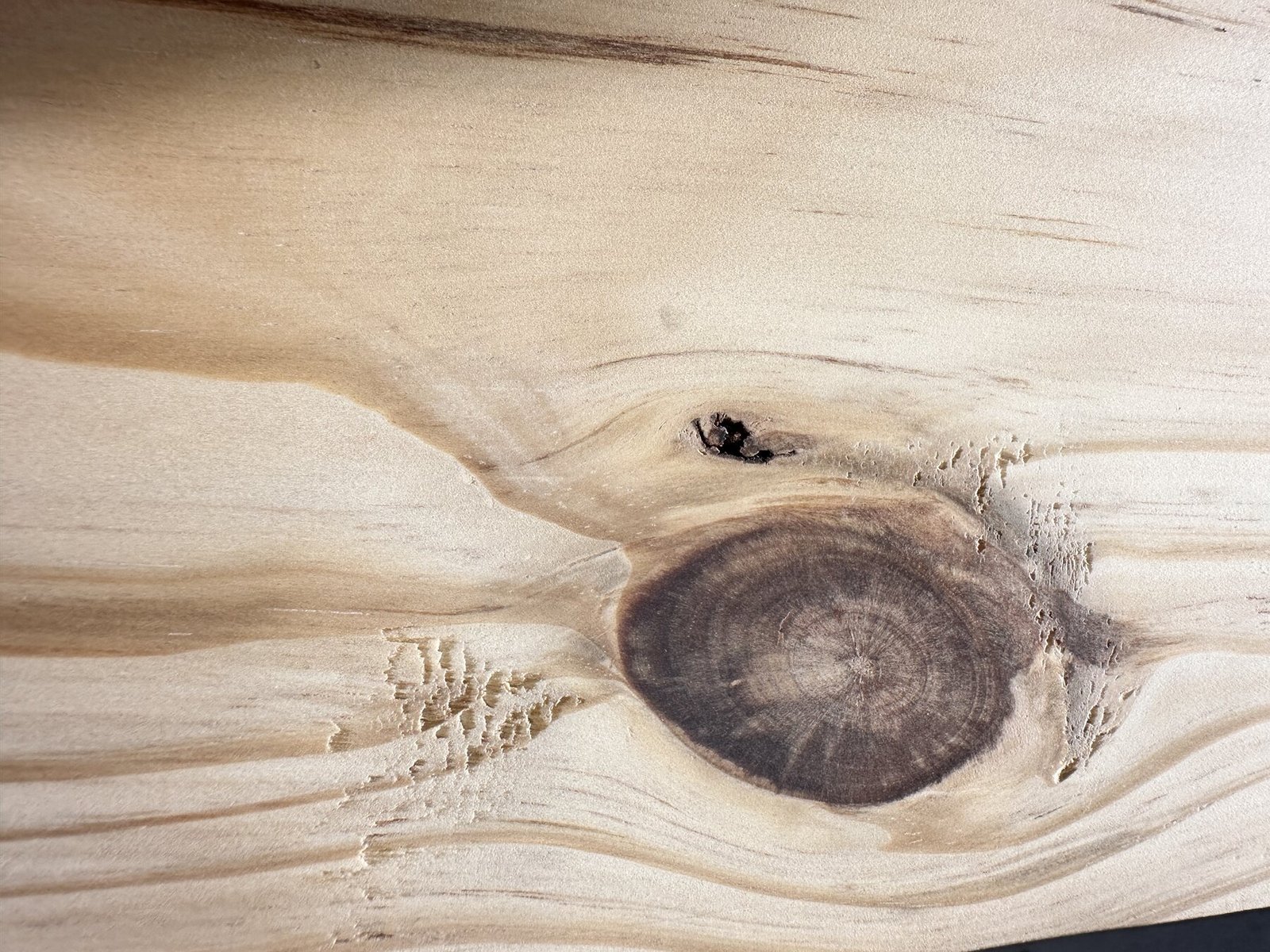 Large pine knot surrounded by concentric grain and rough fiber pockets