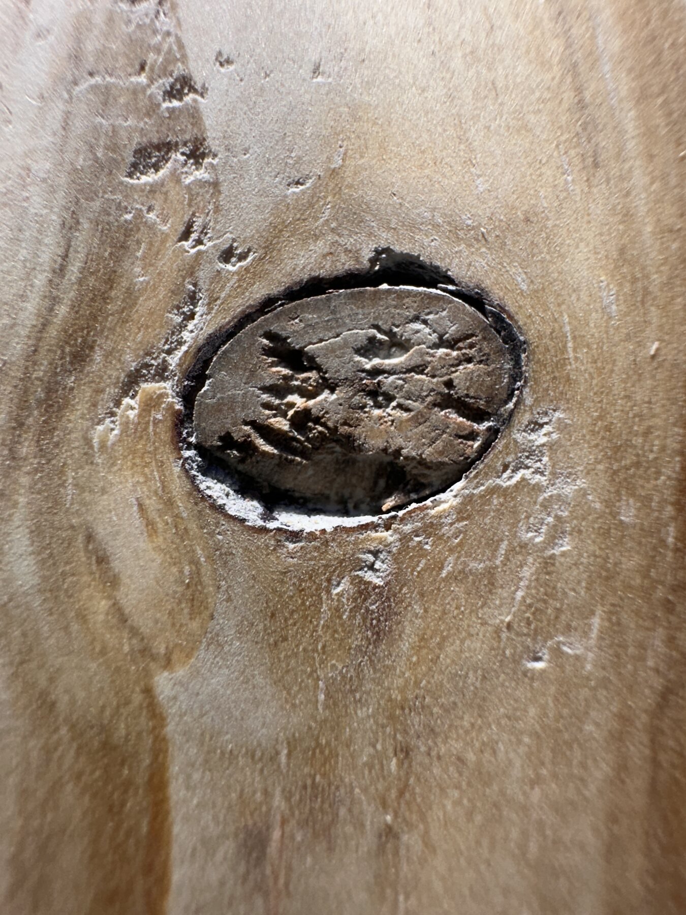 Loose circular knot surrounded by a dark open gap