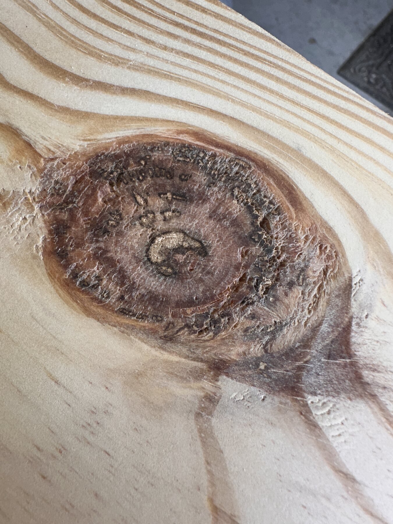 Large pine knot after pre-stain conditioner but before stain