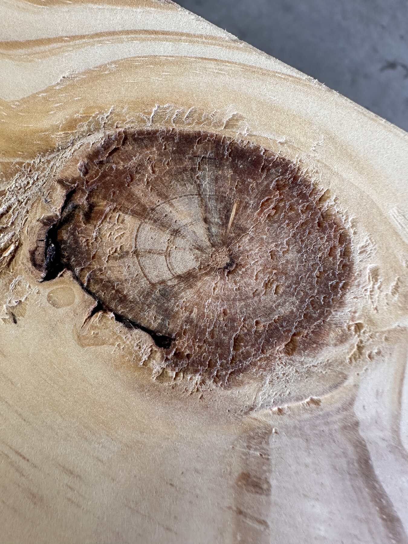 Large rough knot with visible rings after wood conditioner