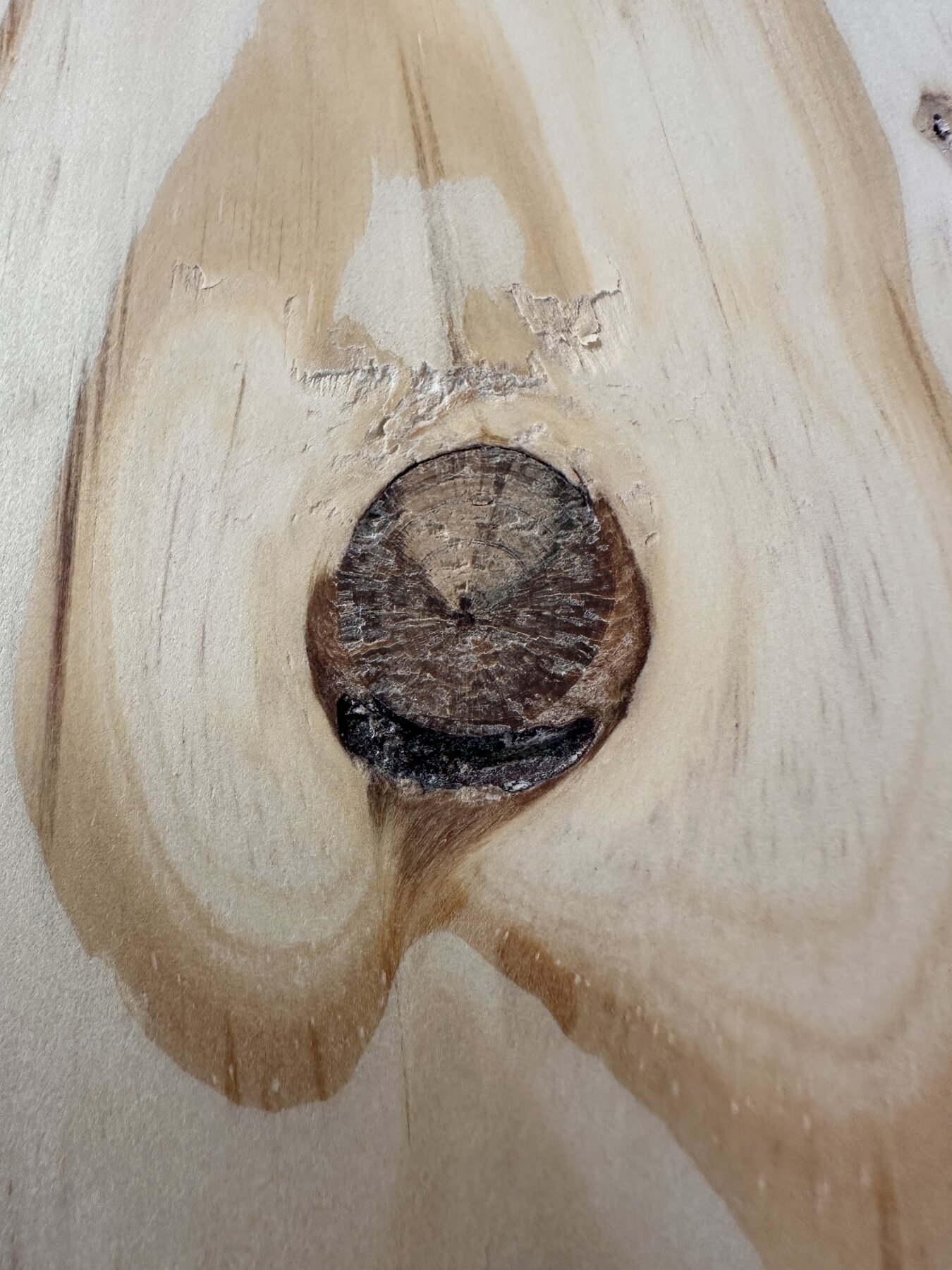 Small round knot surrounded by pale conditioned pine