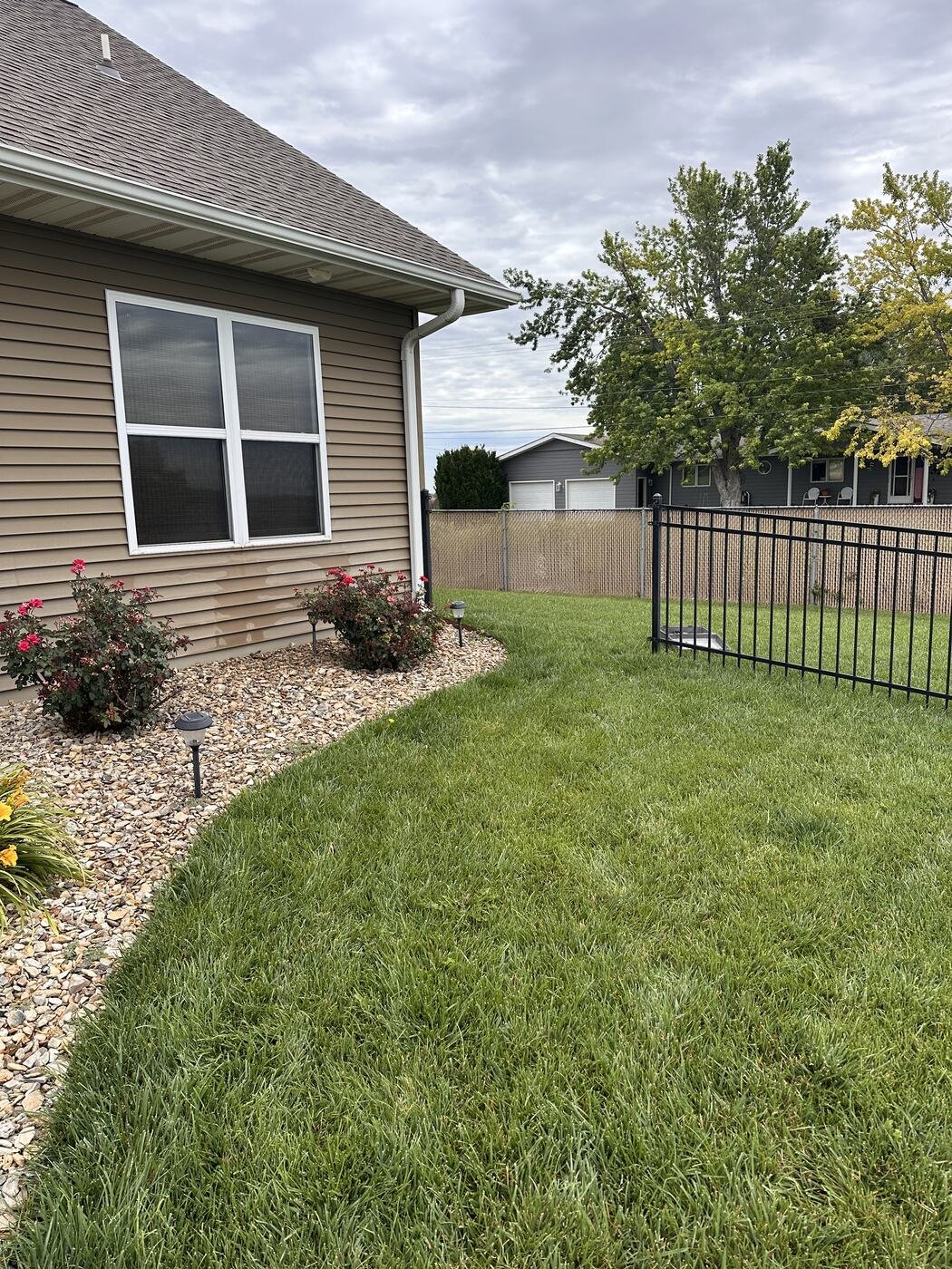 Freshly landscaped rock bed with pink roses beside the house on June 18, 2026