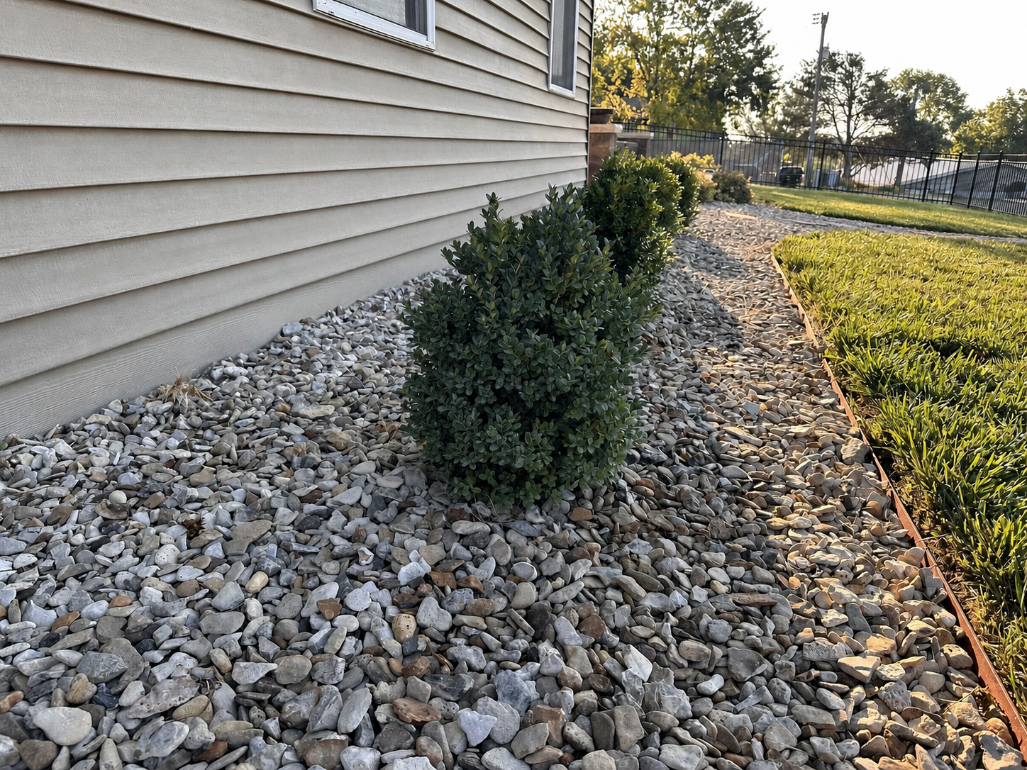 The Four Who Stand With Us boxwoods seen along the curved rock bed beside the house