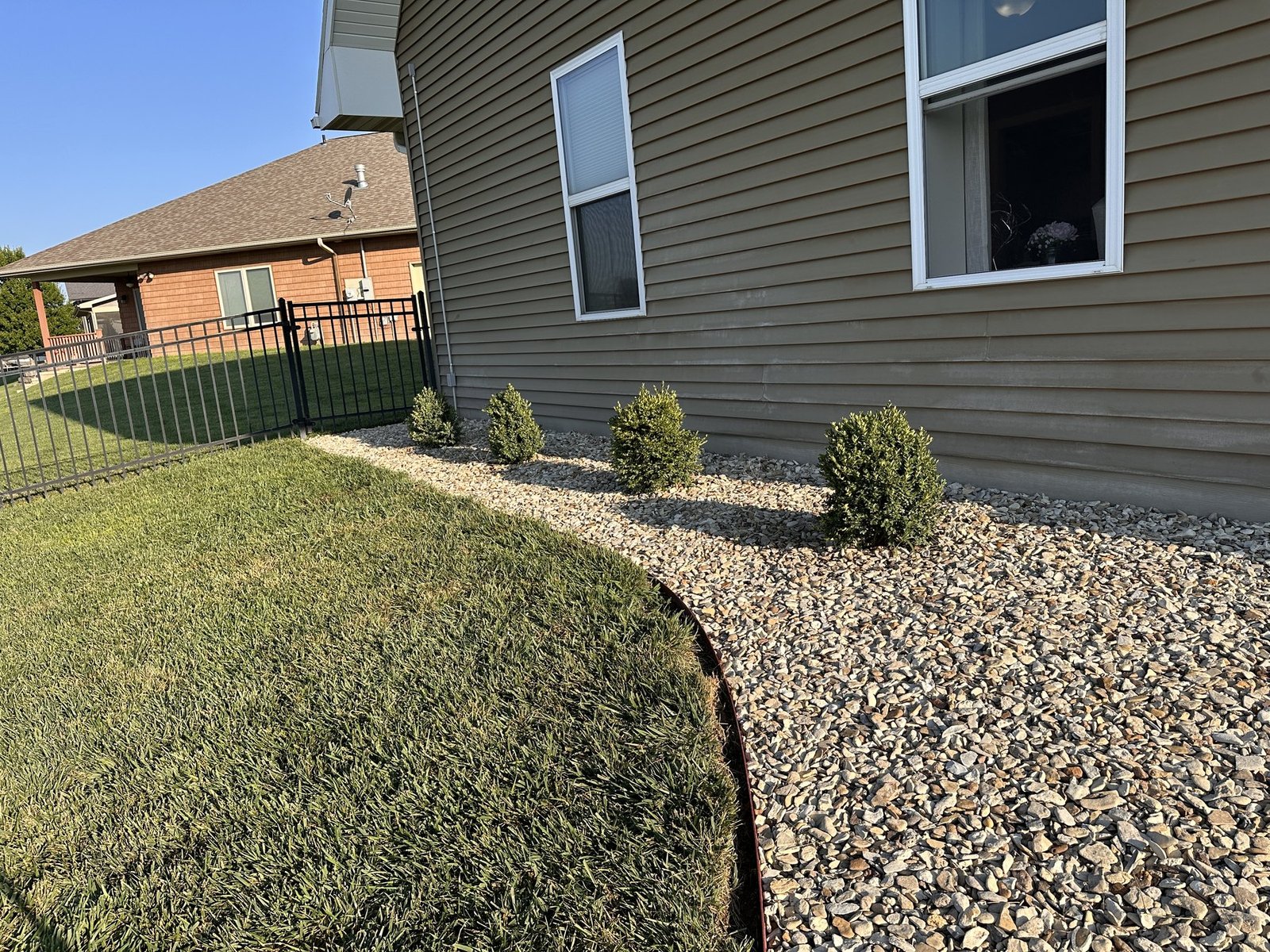 Four boxwoods in a row beside the house, named Jesse, Dave, Fred, and Leroy from left to right