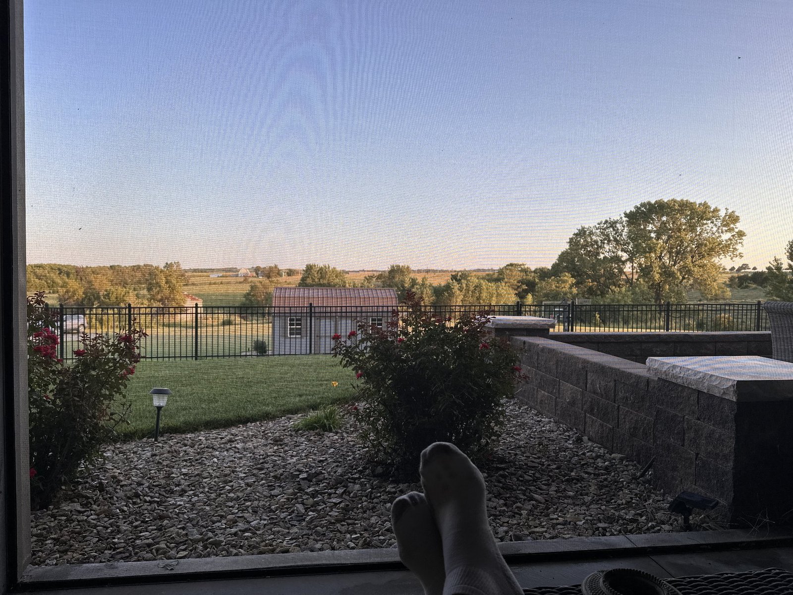 Backyard at the close of day, viewed from the screened porch toward the shed and open countryside